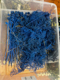 Box of preserved blue craspedia & plumosa