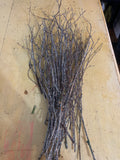 Silver Sparkle Branches