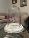 Glass Dome Cloche