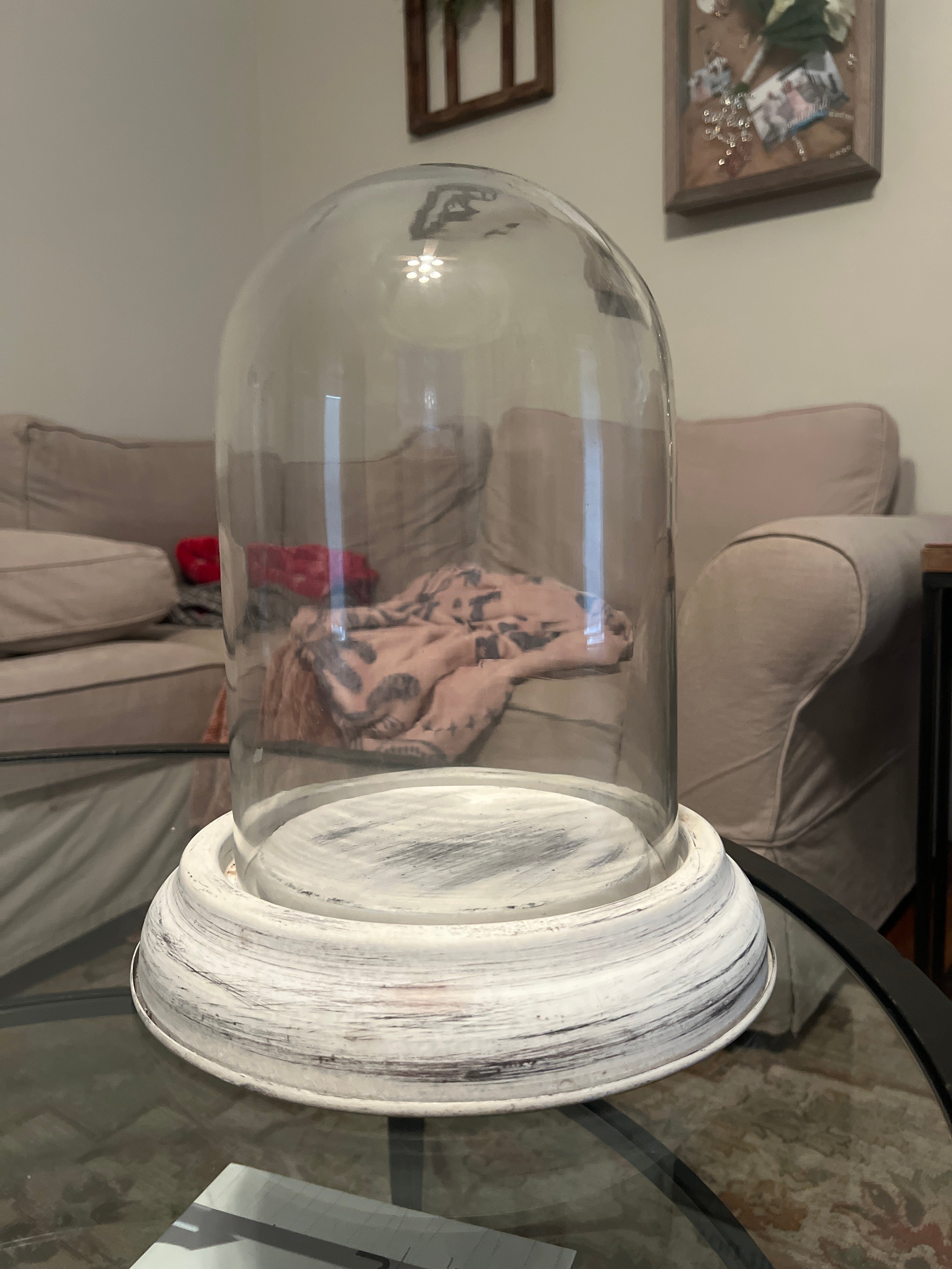 Glass Dome Cloche