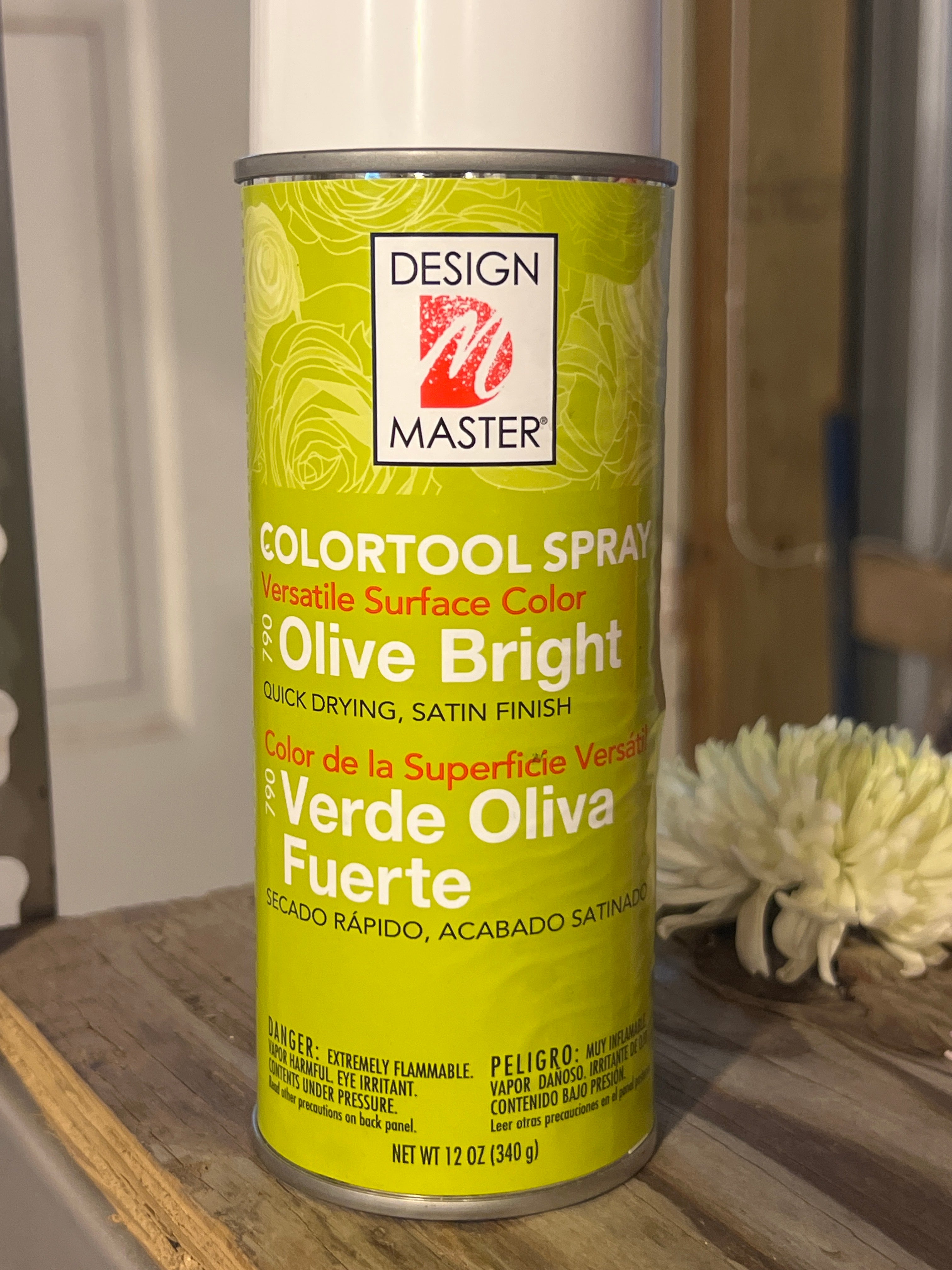 Paint, Design Master, Olive Bright