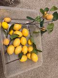 Lemons on Pick - SOLD AS LOT