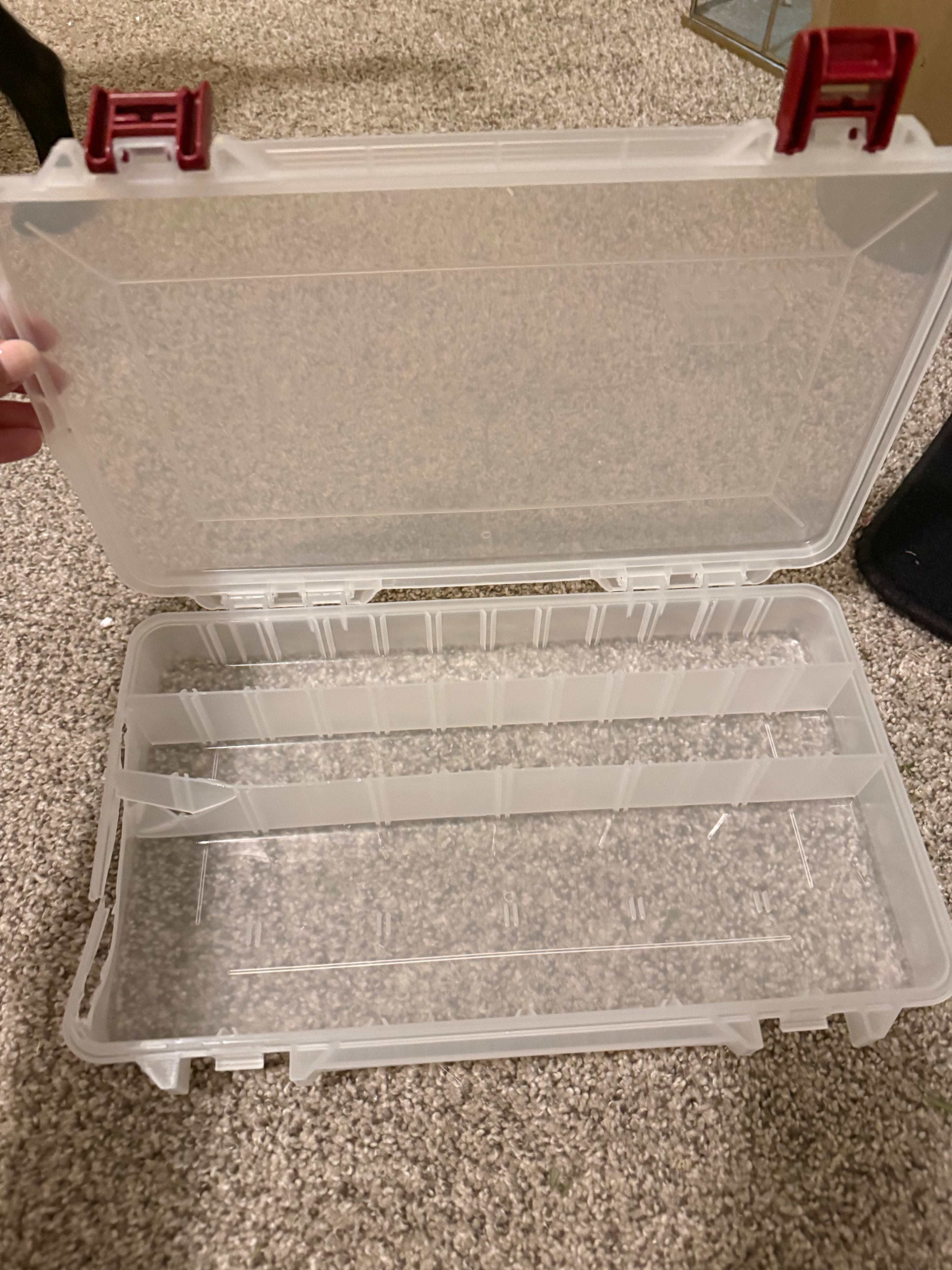 Clear organizer with dividers - SNACKLE BOX
